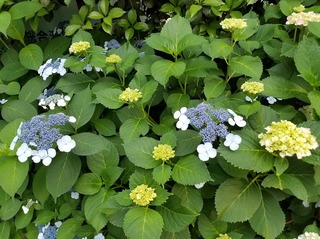 20170530_174320.jpg
