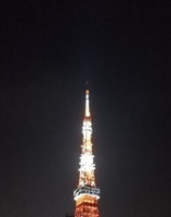 夏の東京タワー20200809_230810.jpg