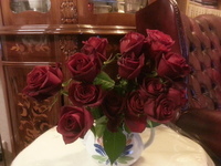 自宅薔薇20150124_193641.jpg